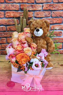 Holland Rose and a Teddy Bear in Box