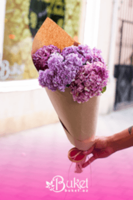 Hydrangea in the Craft Bouquet