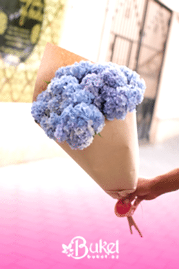 Blue Hydrangea in the Craft Bouquet